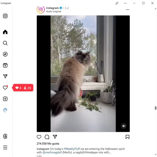 Captura de tela do Instagram para Windows em execução