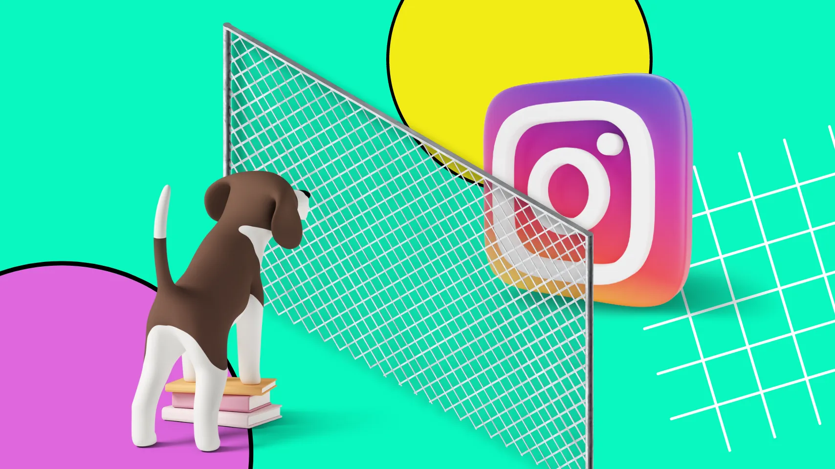 Como ver um perfil privado no Instagram