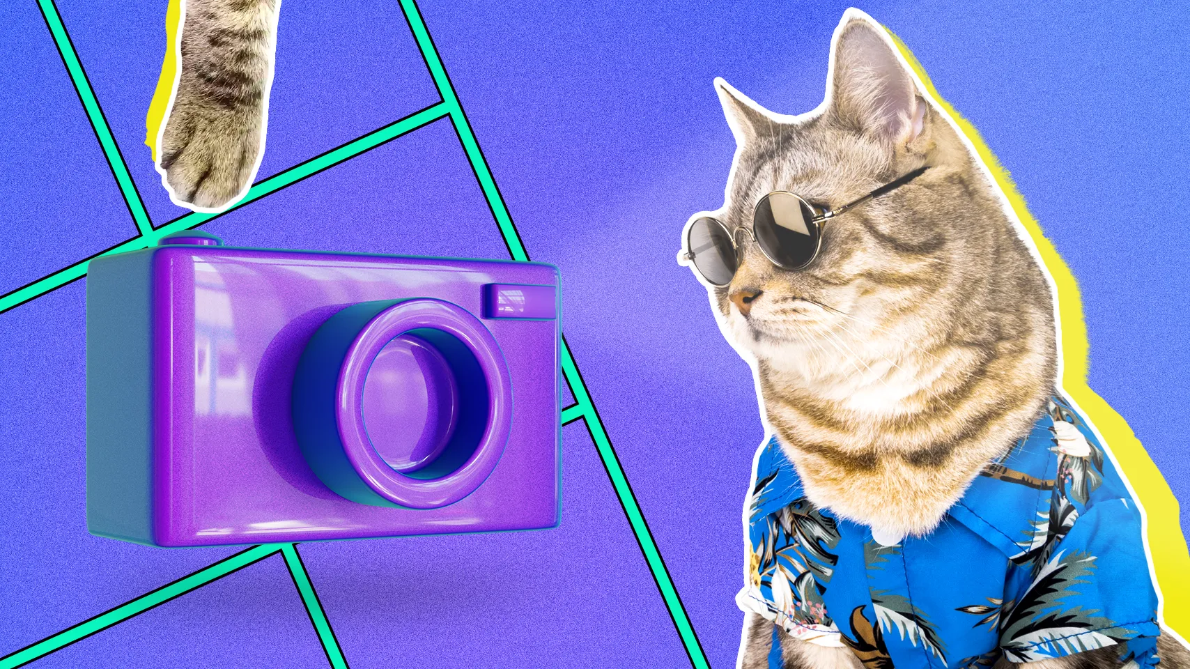 Quem paga aos influencers?